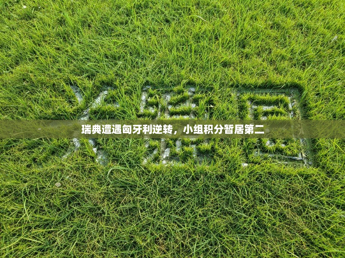 问鼎体育app下载-瑞典遭遇匈牙利逆转，小组积分暂居第二